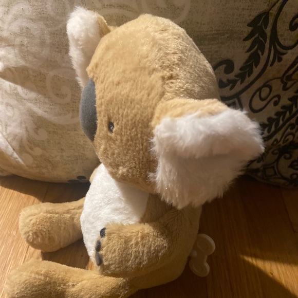 Musically koala - Picture 1 of 3